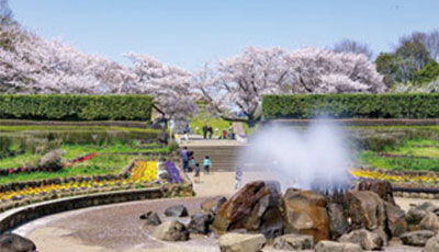 神奈川県立四季の森公園