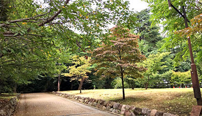 江古田の森公園