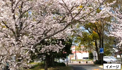 練馬区立 徳殿公園