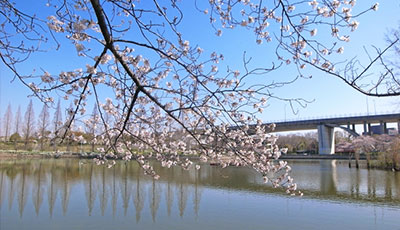 城北公園